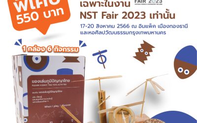 ชุดของเล่นภูมิปัญญาไทย (Plearn Science Thai Toy Activities)